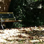 Logis Du Parc לינה וארוחת בוקר Saint-Fulgent