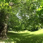 Logis Du Parc לינה וארוחת בוקר
