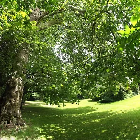Logis Du Parc Bed & Breakfast