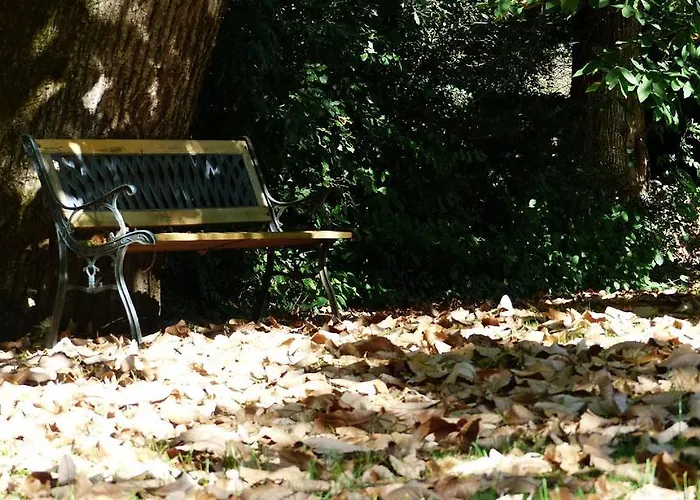 Logis Du Parc Bed & Breakfast Saint-Fulgent