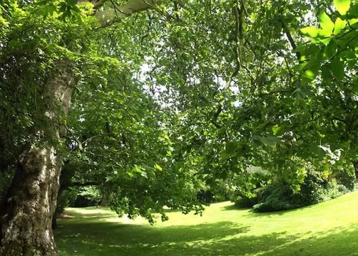 Logis Du Parc Bed & Breakfast