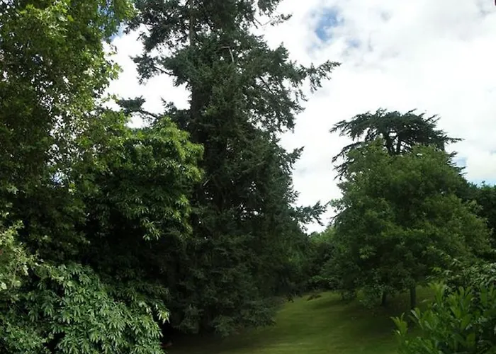 Logis Du Parc Oda ve Kahvaltı 3*